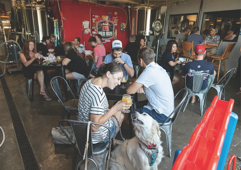 Red Bus Brewing Company, business photo 2