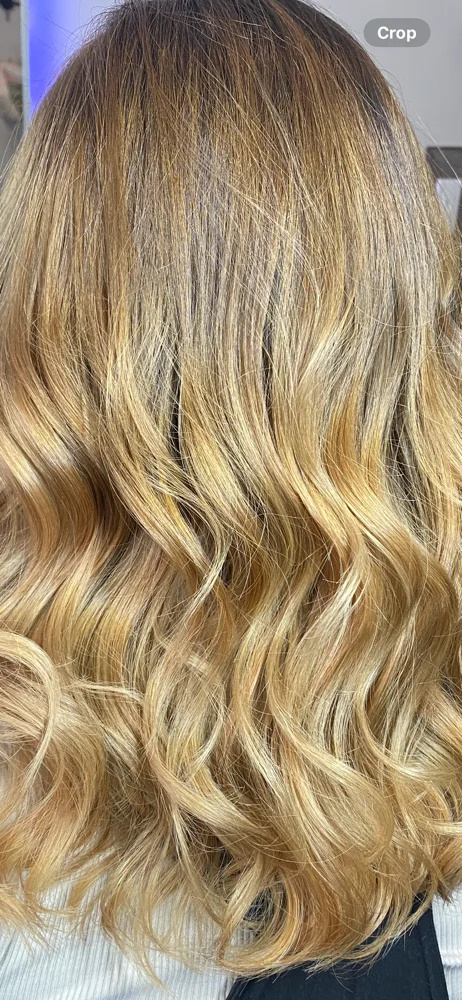 Vivid Sanctuary Salon business photo